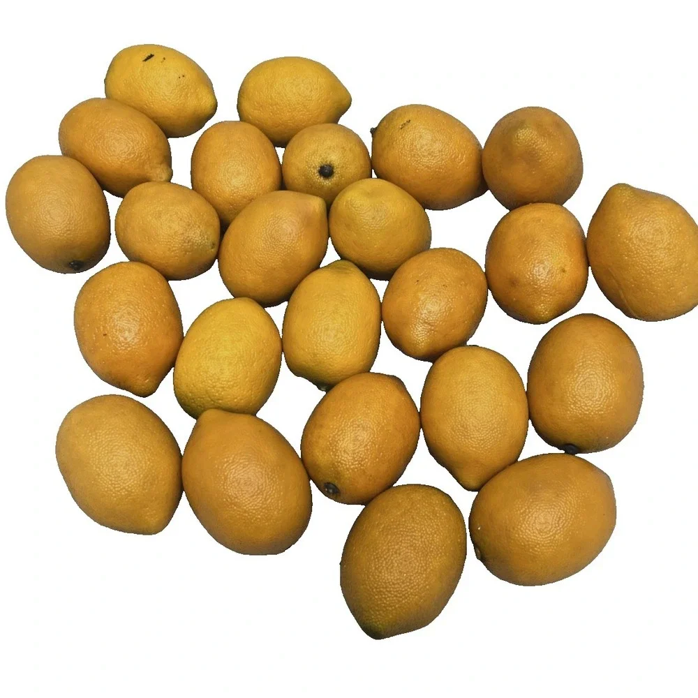 20 Heavy Quality Realistic Artificial Faux Fake Lemon Fruit Decor Photo Prop